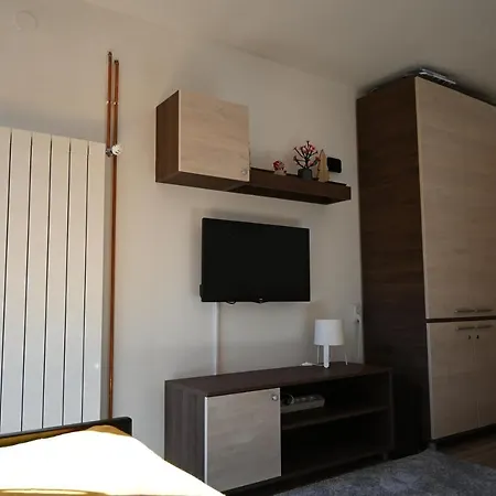 Vukasin Apartment *