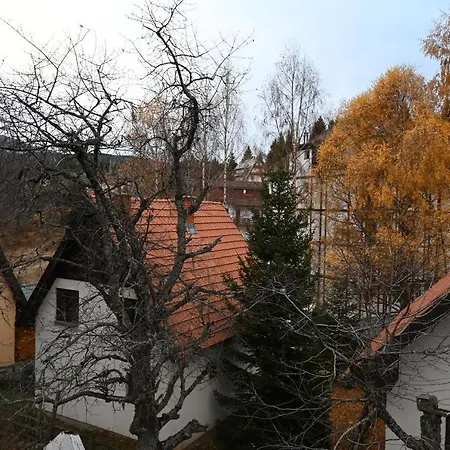 Vukasin Apartament *