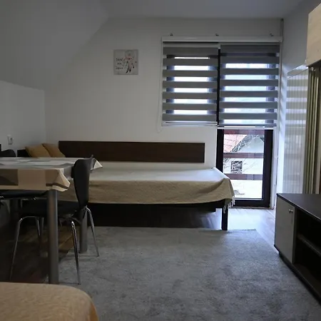 Vukasin Apartment *