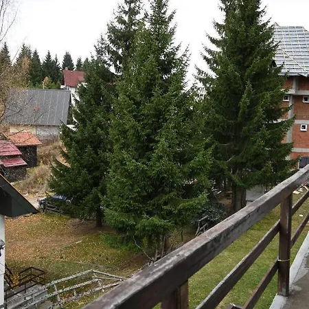 Vukasin Apartment Kopaonik