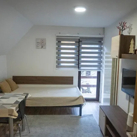 Vukasin Apartman Kopaonik