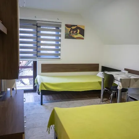 Vukasin Apartment *