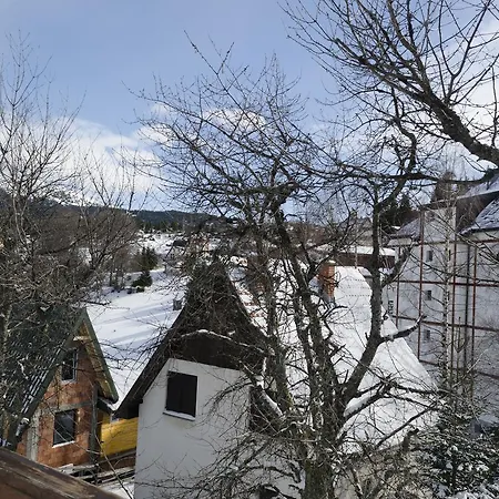 Vukasin Apartment *