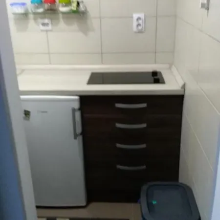 Apartment Vukasin *