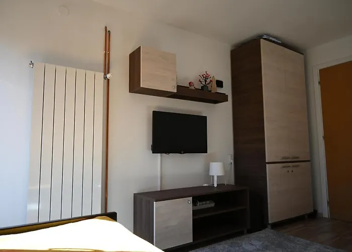 Vukasin Apartament *