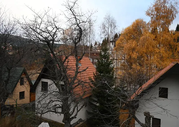 Vukasin Apartament *