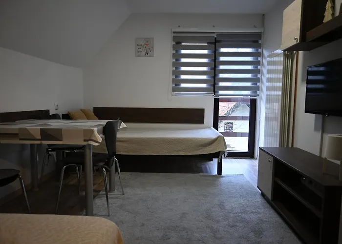 Vukasin Apartament *