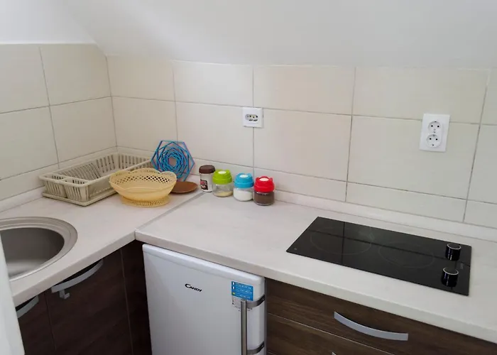 Vukasin Apartament *